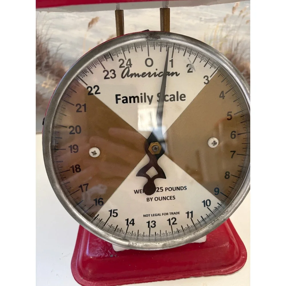 Vintage American Family Scale Red White Metal 25 Lbs Kitchen Farmhouse Decor